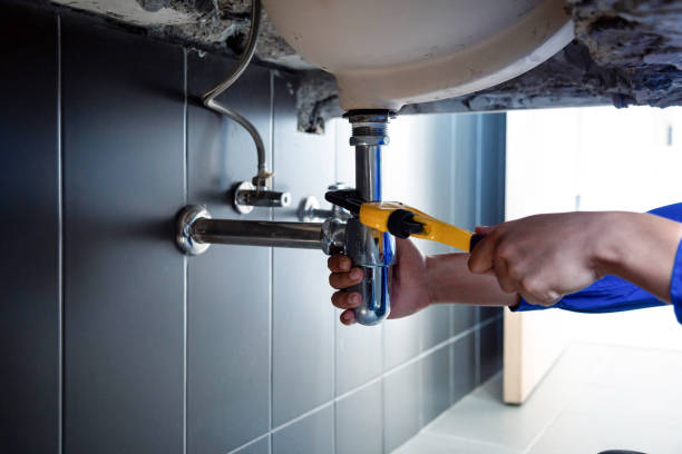 Best 24/7 Emergency Plumbing Services  in Nicholls, GA